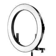 disponible para renta o alquiler en bogota