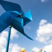 sample muestra cine ds 24