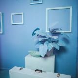 Estudio ambientado vintage contenido bogota