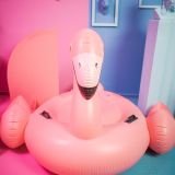 Estudio ambientado vintage contenido bogota