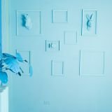 Estudio ambientado #12 PASTEL Alquiler