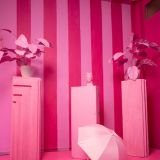 Estudio ambientado #12 PASTEL Alquiler