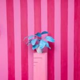 Estudio ambientado #12 PASTEL Alquiler