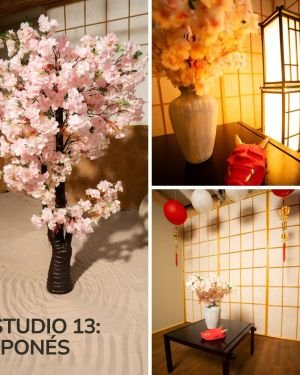 Estudio 13: Japonés