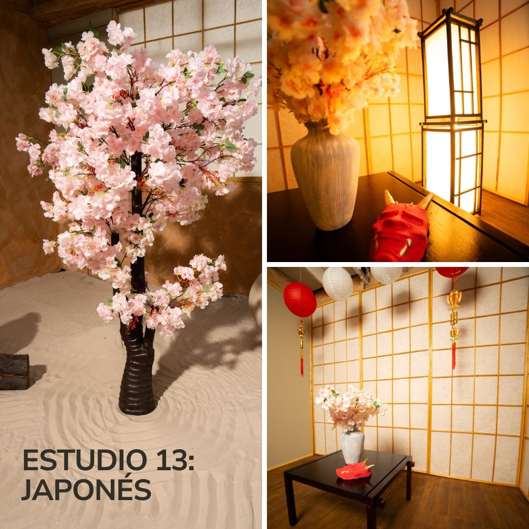 Estudio 13 Japones Bogota