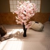 alquiler estudio estilo japones bogota