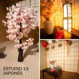 Membresías de Producción: Alquiler de Estudios de Fotografía y Podcast